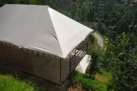 Pine pioneer the eco resort