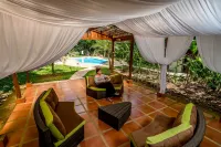 Ara Ambigua Lodge Hôtels à : Sarapiquí