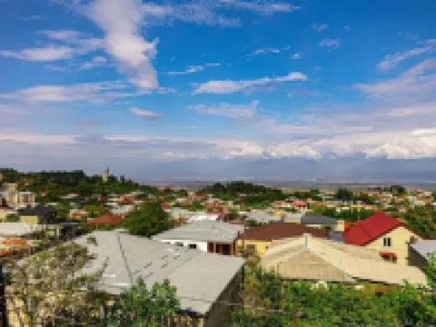 Hotel Horizont Telavi Hoteles en Telavi