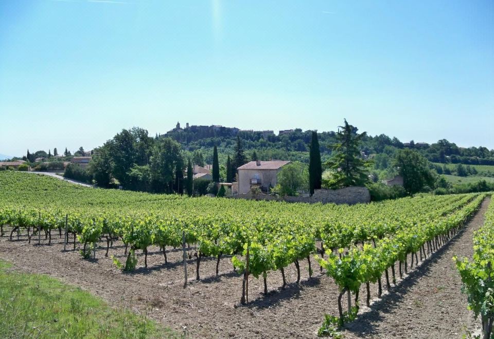 2. 호텔 벨 알프 ..