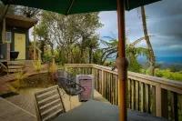 Te Tiro Accommodation Hotels in Te Kuiti