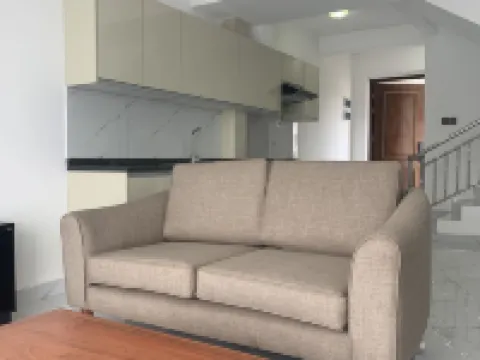 チチ・ラグジュアリーズ -ゼブラ