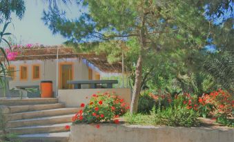 Santorini Camping & Hostel