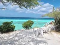 Beach Front Honeymoon Hotels in Savaneta