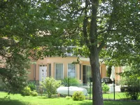 Sunshine Beach House DIRECTLY ON THE LAKE, ROWBOAT, Garden/barbecue island, WiFi - Gym