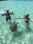 Anchor's Away, Russell Island - Wifi