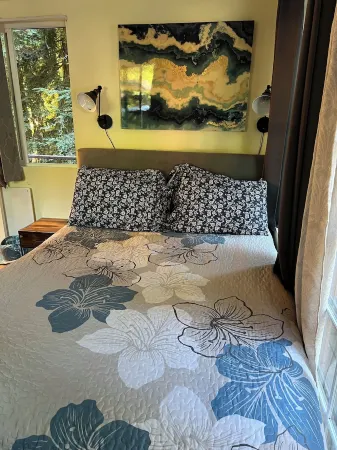 Cozy Creekside Cabin in Santa Cruz Mountains