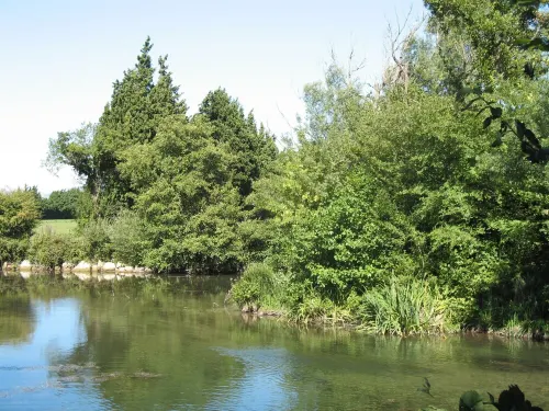 The Forestine in Provence between Avignon and Carpentras (84)