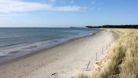 Morgenstern fantastic holiday