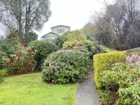 Spacious & Lively @Maori Hill--Trees, flowers & birds, Cosy and Comfortable Hotels in Maori Hill