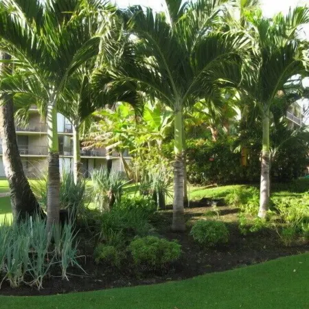 Beautiful Ocean View Maui Sunset Condo - B213