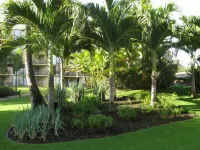 Beautiful Ocean View Maui Sunset Condo - B213