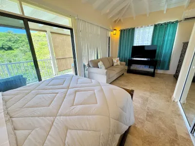 spacious and cozy 1 bedroom with garden views and AC-1 mile from Cruz Bay Các khách sạn ở 