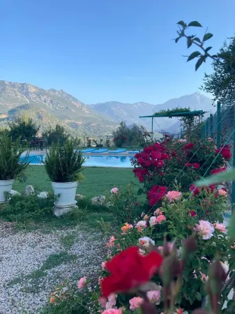 Kır evi Havuzlu ve Bahçeli (Villa Olymposzaray) Отели в г. Кумлуджа