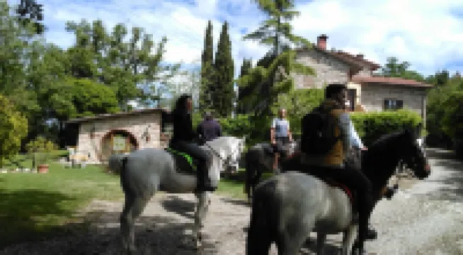 -2 / 3-seater garage with private garden, swimming pool, park and spa