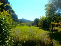 Seasonal rental in the countryside, 5 min from all shops 10 min from Isle sur la Sorgue Hoteles en Le Thor