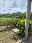 Relaxing vacation home getaway where you can experience local Barbadian culture Hotels in 