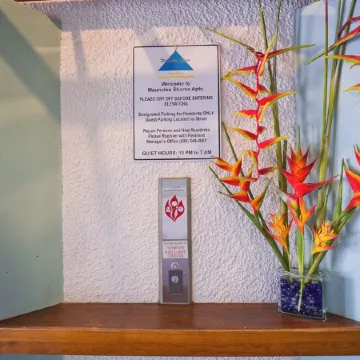 Direct Oceanfront Mauna Loa Shores #508 Next Carlsmith Beach Park