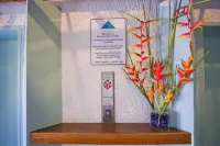 Direct Oceanfront Mauna Loa Shores #508 Next Carlsmith Beach Park