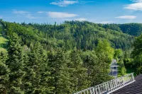 Hotel Vestina - Mountain view