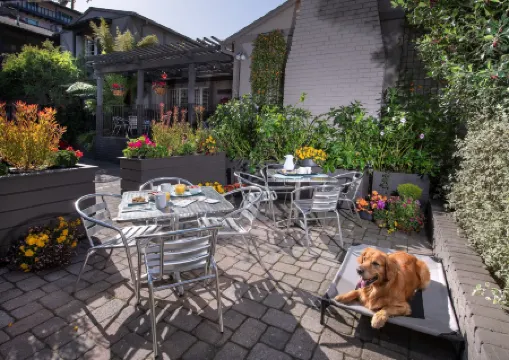 Carmel Country Inn Отели рядом с достопримечательностью «Заказник Пойнт Лобос Стейт»