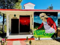 The Golden Leaves Cafe And Cottages Hotels near Botanical Tea Garden, Champawat