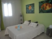 CoCoKreyol - " Grenadine " - Pet friendly