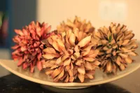 Hotel Reimann Hotels in Indaiatuba