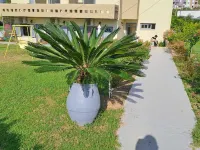 Galini Beach Hotels in Myrthianos Plakias