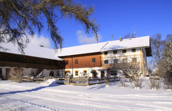 伯恩哈德霍夫酒店