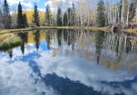 カウボーイ カントリー イン