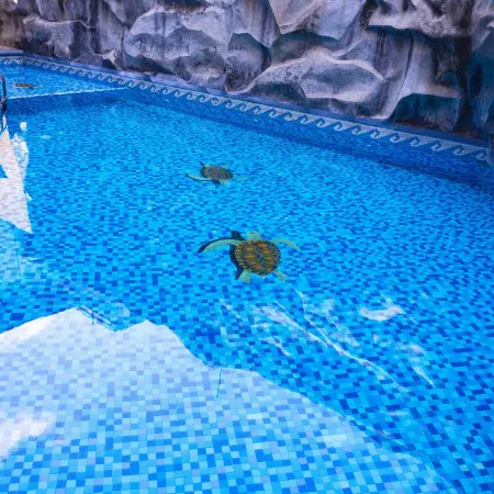 Hotel Tapachula