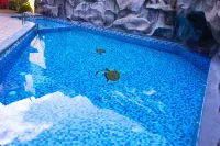 Hotel Tapachula - Pools