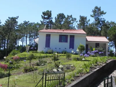 Villa Leglise Chafe plage d' Amorosa - Viana - pets welcome. Hotel a 