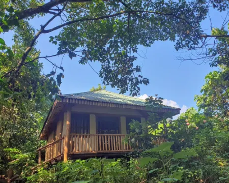 Buhoma Gorilla Camp Hotels in Kinkiizi