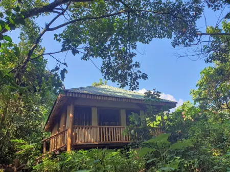 Buhoma Gorilla Camp Отели в г. Kinkiizi