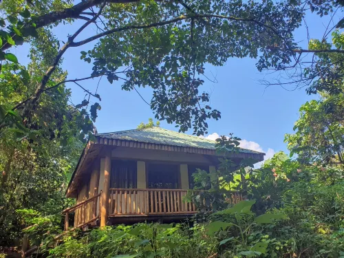 Buhoma Gorilla Camp Hotel di Kinkiizi