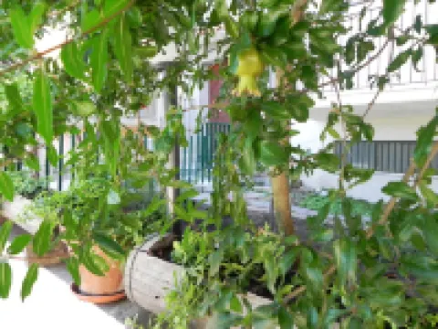 阿菲塔卡梅爾美景旅館