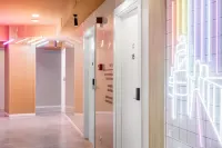 بوب دبوي دريد تشوكا