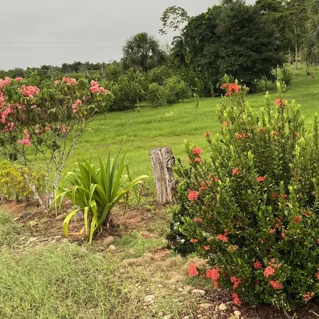 Campo Verde Lodge