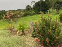 Campo Verde Lodge Hoteles en 