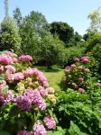 House with garden Hotels in Plobannalec-Lesconil