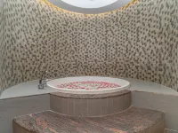 Sarovar Premiere Srinagar