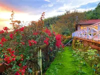 Alishan Home