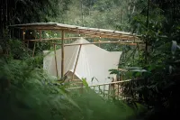 Nysa Forest Sanctuary Hotels near PURA MELANTING