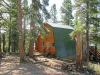 New! Cozy Bear Cabin - Fully Remodeled
