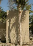 Salara