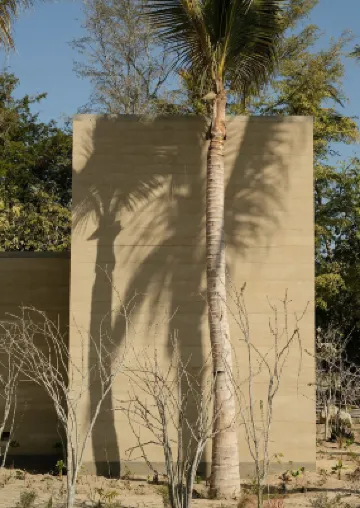 Salara Boutique Resort Todos Santos Hotels in 