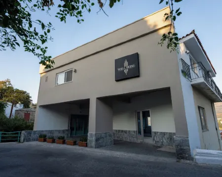 Well Being Luxury Apartments Hotels in Evdilos