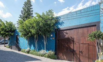 La Joya Azul SMA - Lgbtqs